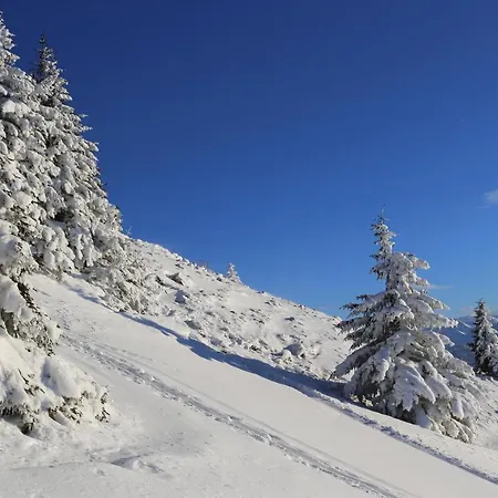 Lejlighed Gartenwohnung Robinigg Maishofen
