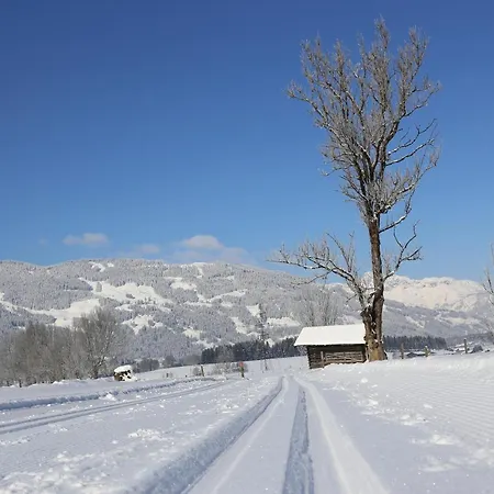 Apartament Gartenwohnung Robinigg Maishofen