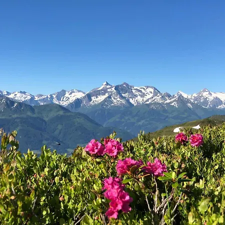 Gartenwohnung Robinigg Apartamento *