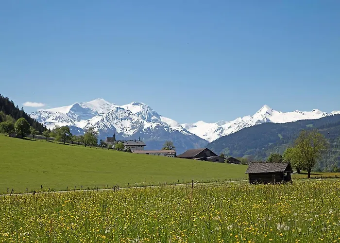 Gartenwohnung Robinigg * Maishofen