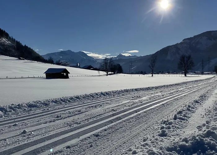 Gartenwohnung Robinigg Apartamento Maishofen