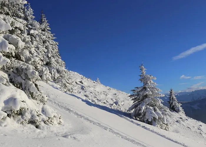 Apartamento Gartenwohnung Robinigg Maishofen