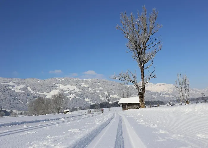 Apartamento Gartenwohnung Robinigg Maishofen