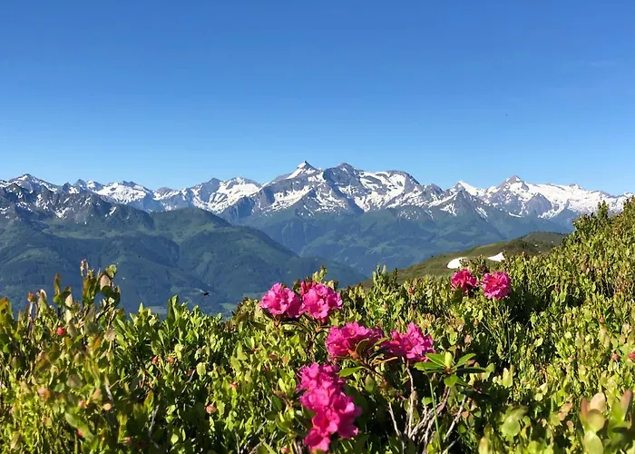 Gartenwohnung Robinigg Apartamento *